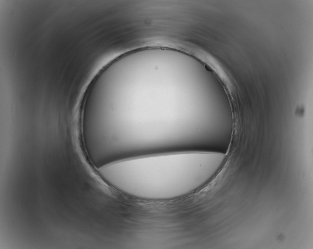 X0000102821048200808181020