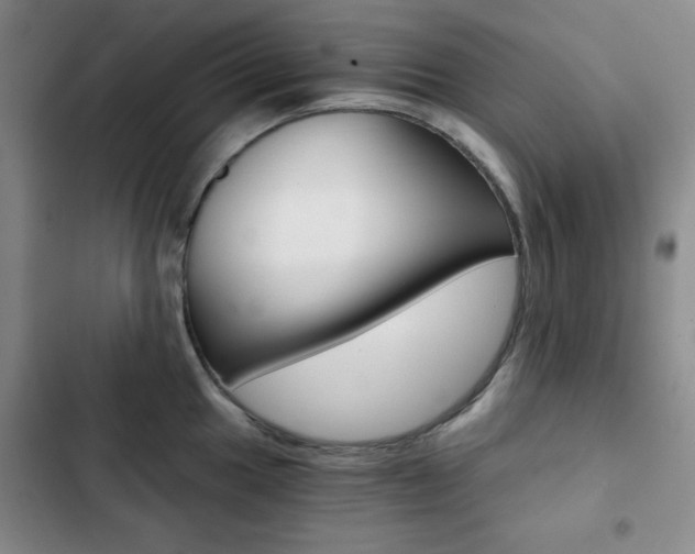 X0000102821049200808181020