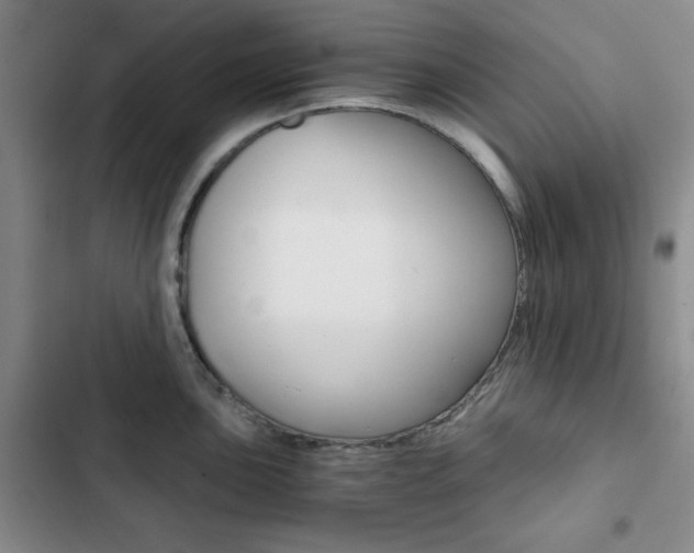 X0000102821051200808181020