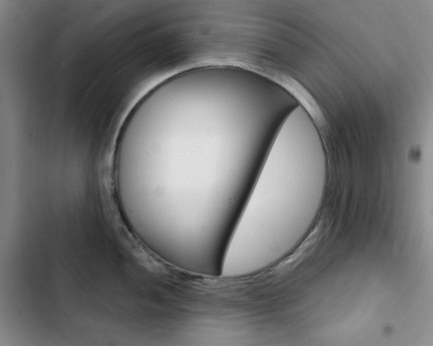 X0000102821052200808181020