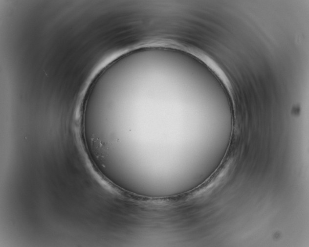 X0000102821053200808181020