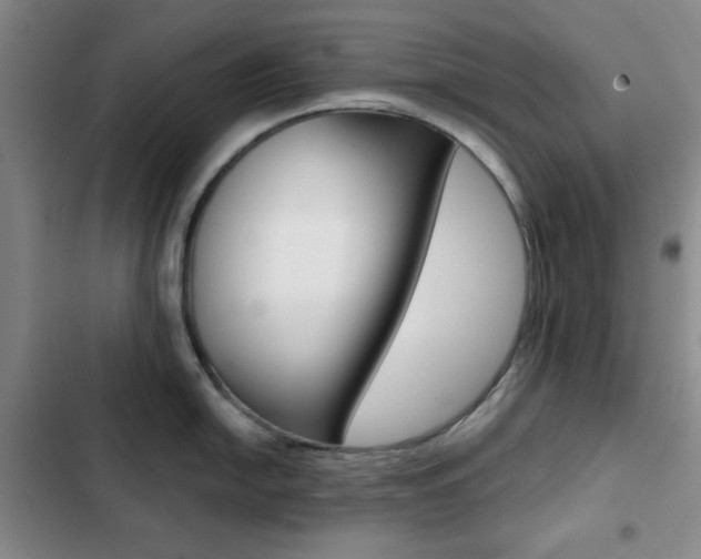 X0000102821054200808181020