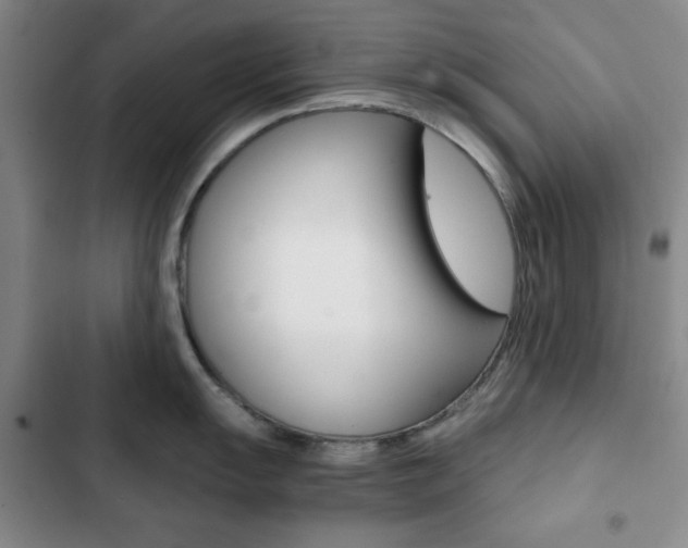 X0000102821055200808181020