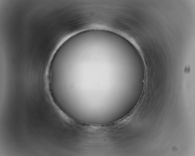 X0000102821056200808181020