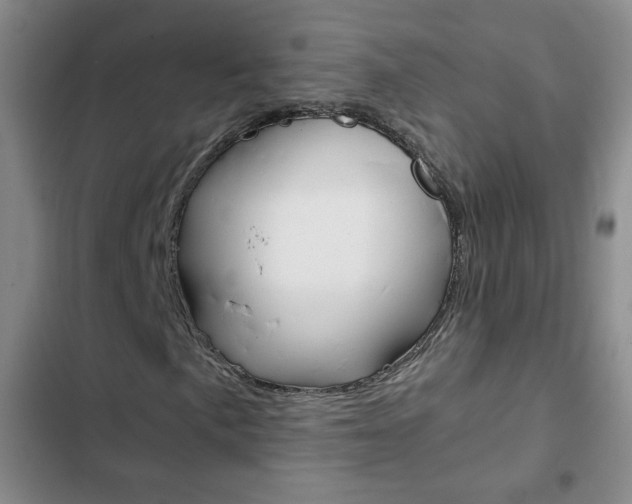 X0000102821057200808181019