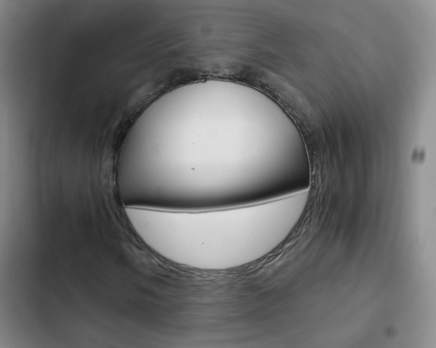 X0000102821058200808181019