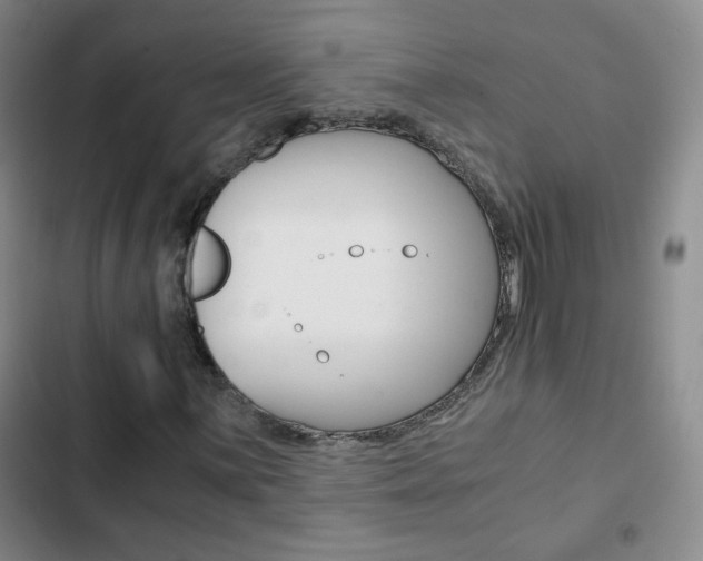 X0000102821059200808181019