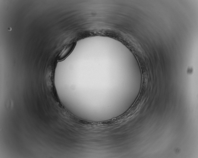 X0000102821060200808181019