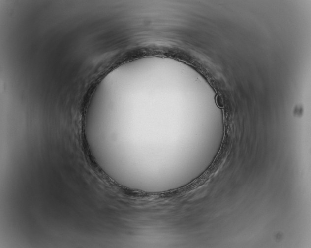 X0000102821061200808181019