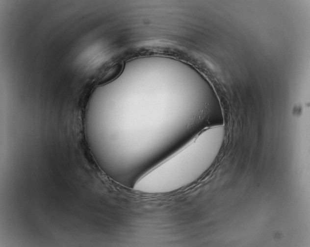 X0000102821062200808181019