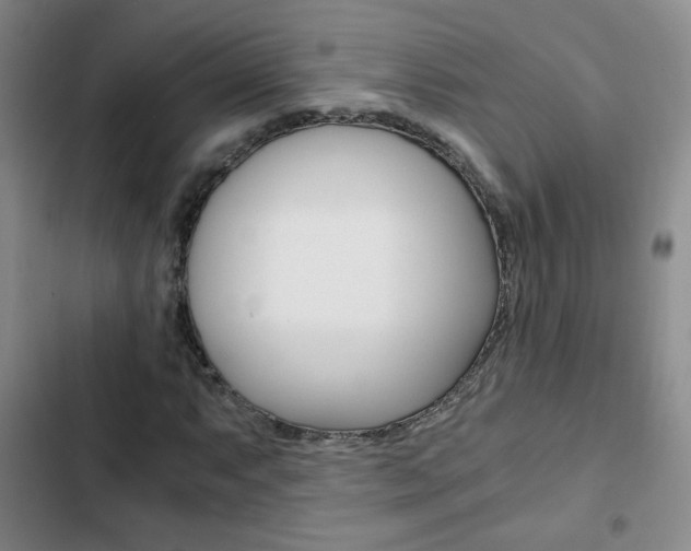 X0000102821063200808181019