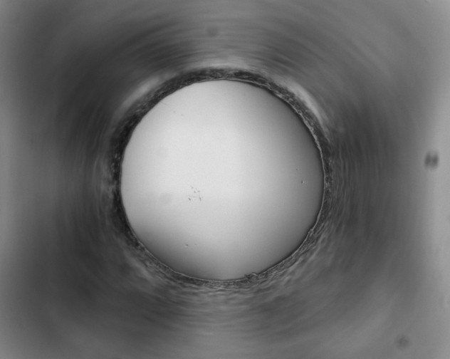 X0000102821064200808181019