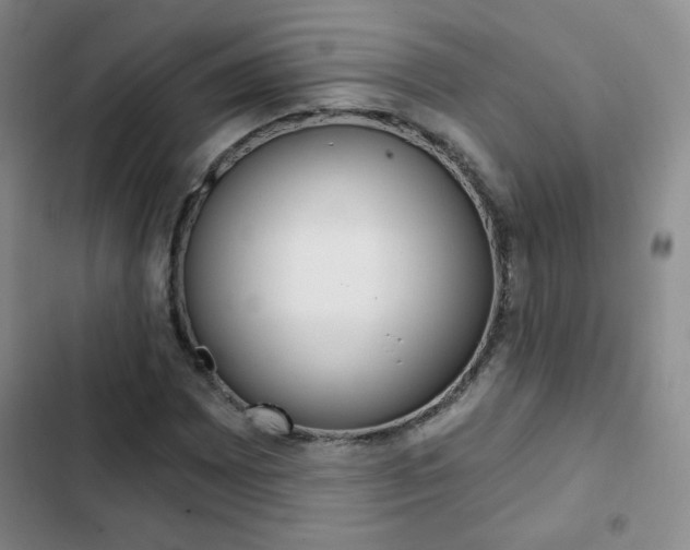 X0000102821065200808181019