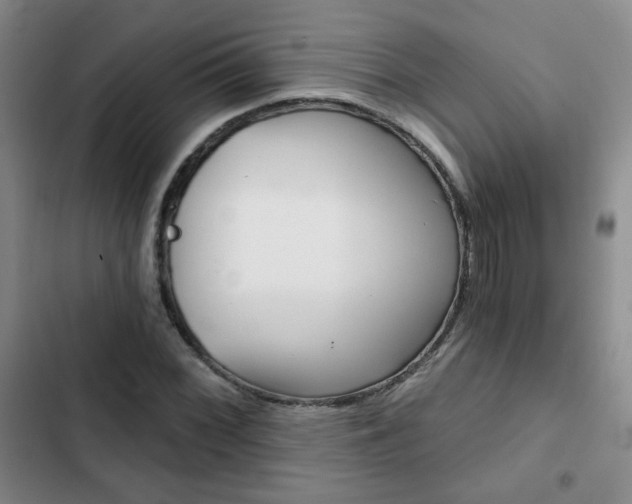 X0000102821068200808181019
