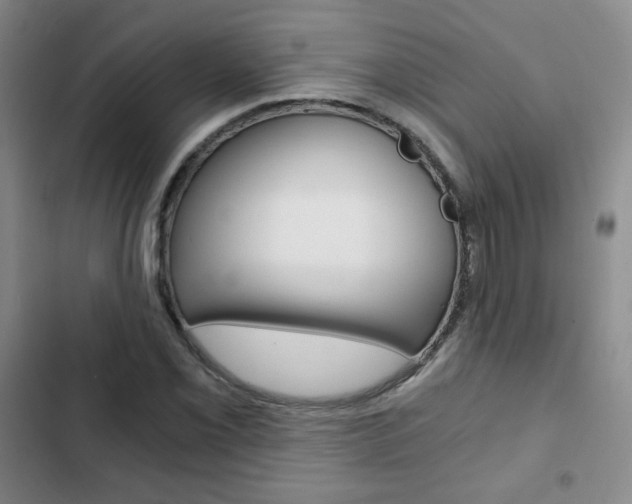 X0000102821069200808181019