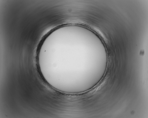X0000102821071200808181019