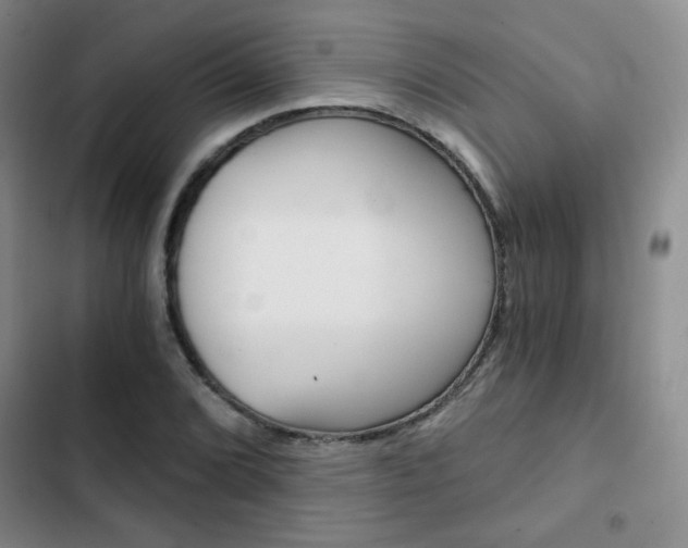 X0000102821072200808181019