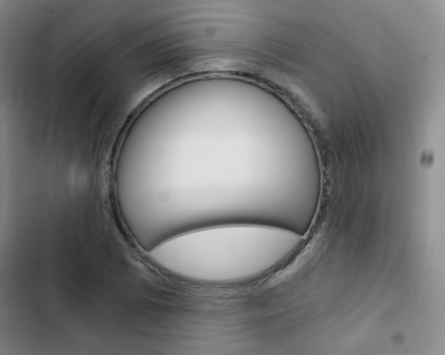 X0000102821073200808181019