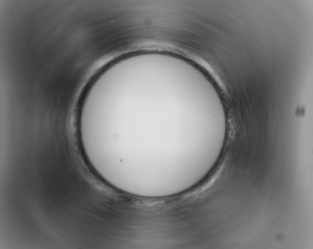 X0000102821074200808181019