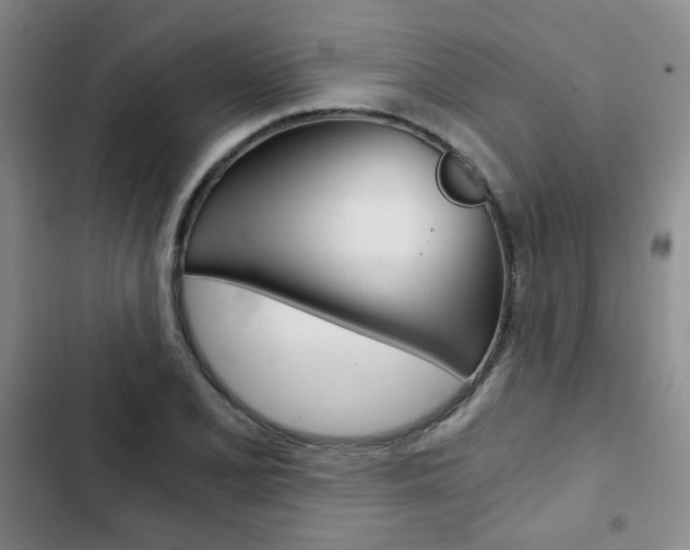 X0000102821077200808181019