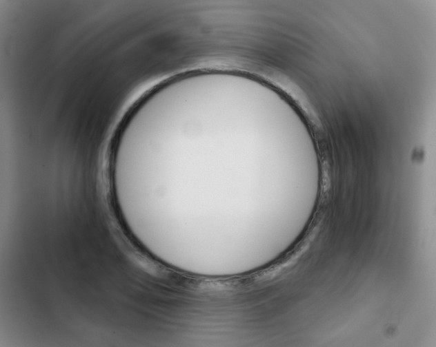 X0000102821078200808181019