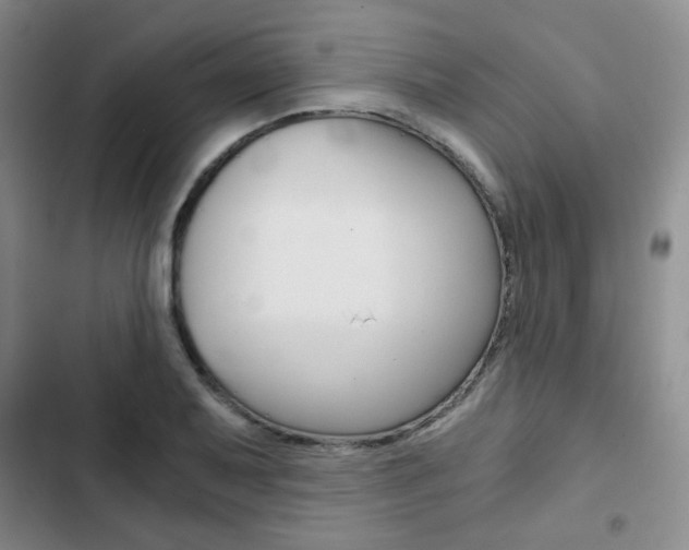 X0000102821079200808181019