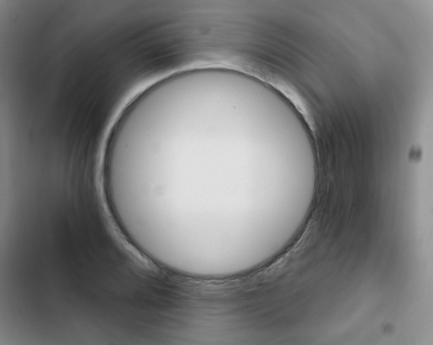 X0000102821080200808181019