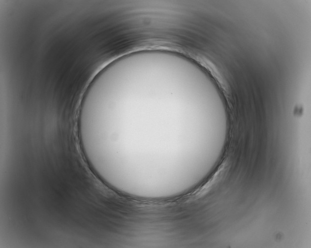 X0000102821081200808181019