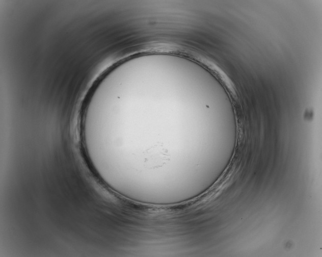 X0000102821083200808181019