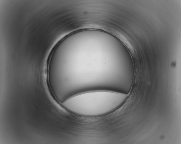 X0000102821084200808181019