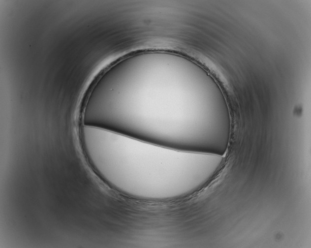X0000102821085200808181019