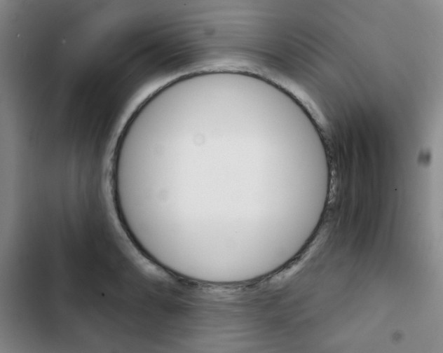 X0000102821086200808181019
