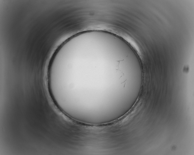 X0000102821088200808181019