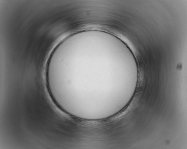 X0000102821090200808181019