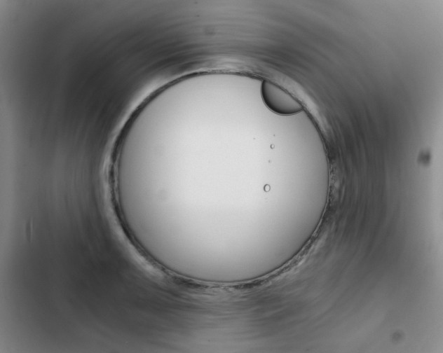 X0000102821091200808181019