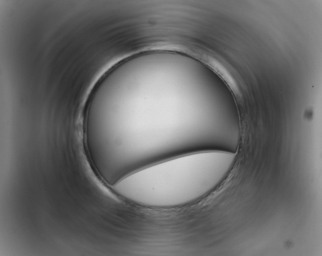 X0000102821092200808181019