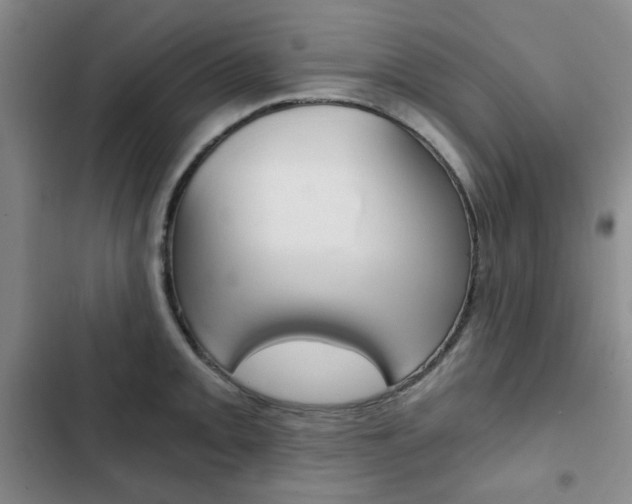 X0000102821093200808181019