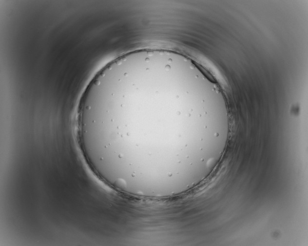 X0000102821095200808181019
