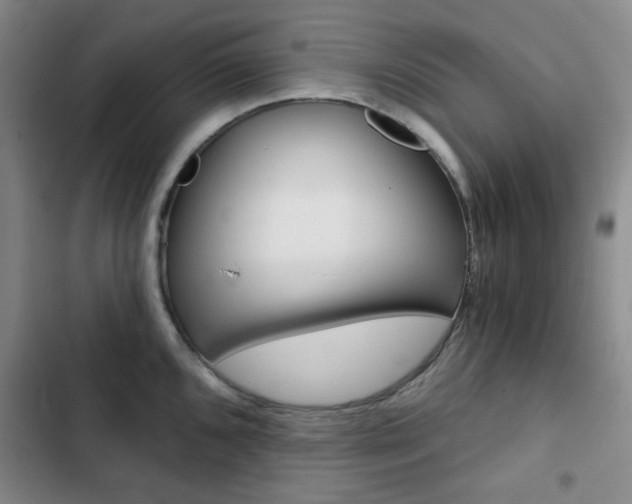 X0000102821096200808181019