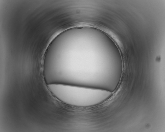 X0000102821097200808181019