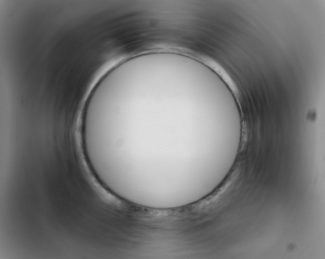 X0000102821098200808181019