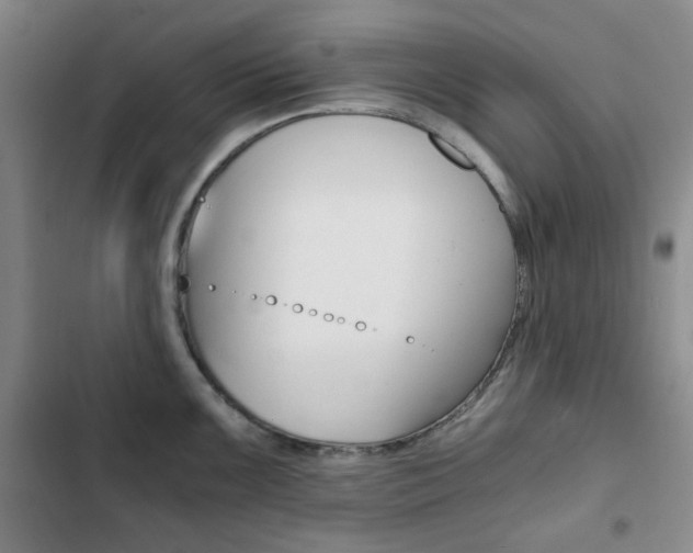 X0000102821099200808181019