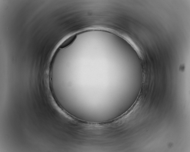 X0000102821100200808181019