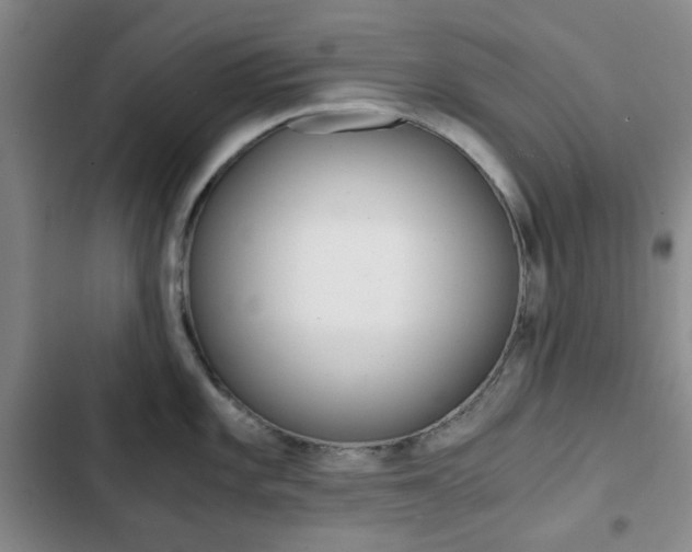 X0000102821101200808181019