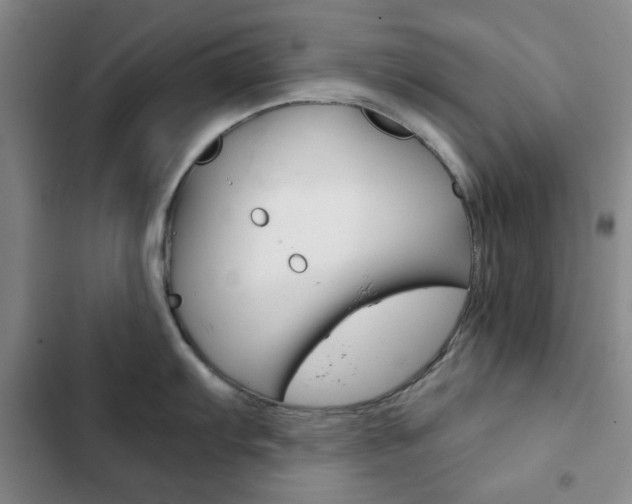 X0000102821103200808181019