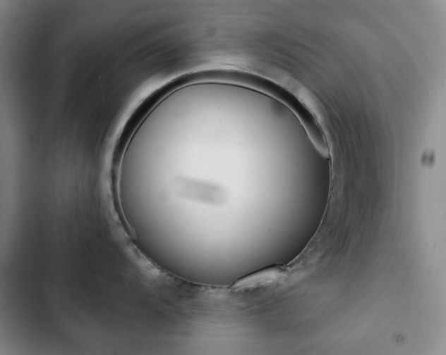 X0000102821104200808181019