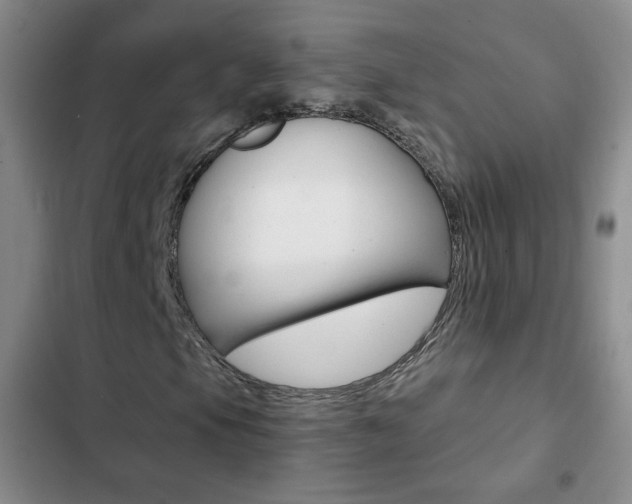 X0000102821105200808181018