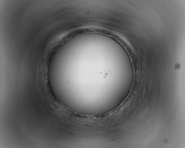 X0000102821111200808181018