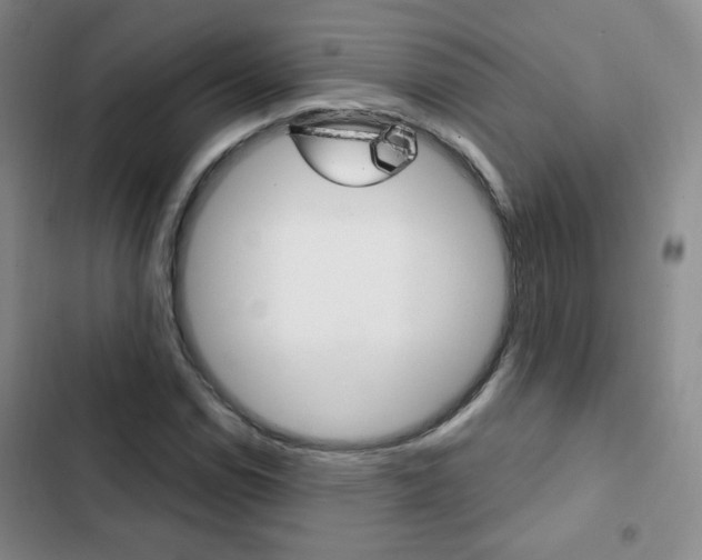 X0000102821114200808181018