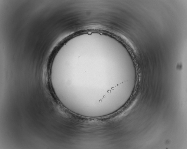 X0000102821117200808181018